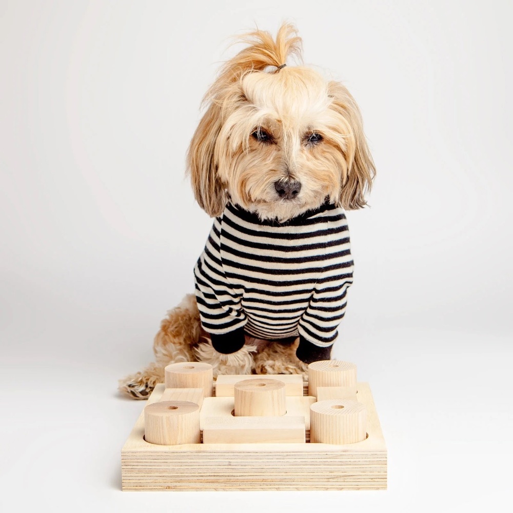 DOG & CO. Cheeky's Challenge Dog Treat Puzzle Game